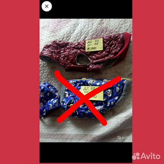 Одежда/обувь для собаки