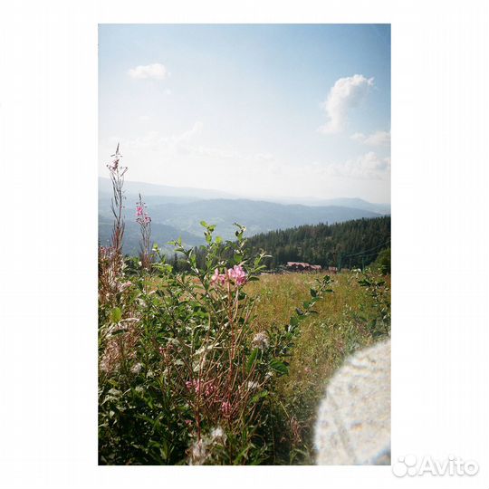 Плёночный фотоаппарат Primax PC 650