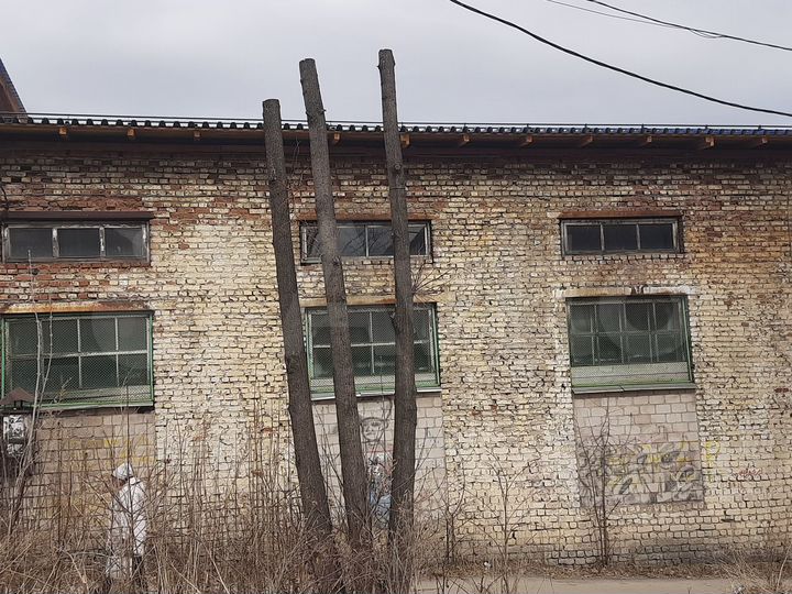 Помещение свободного назначения, 296 м²