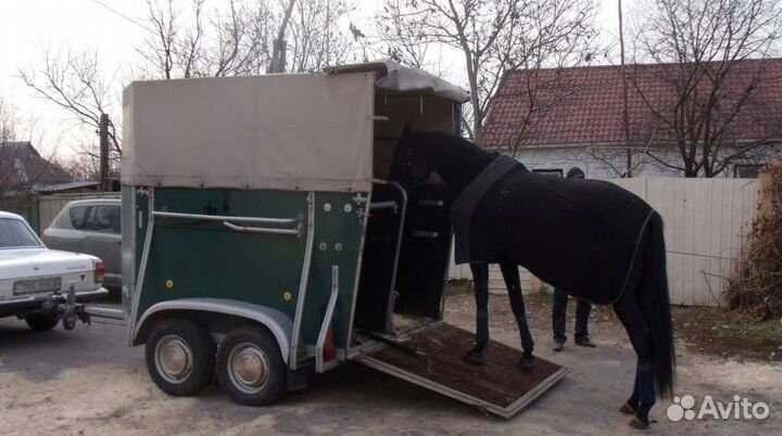 Перевозка животных коневоз