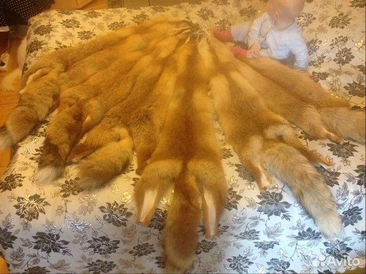 Шкура лисья