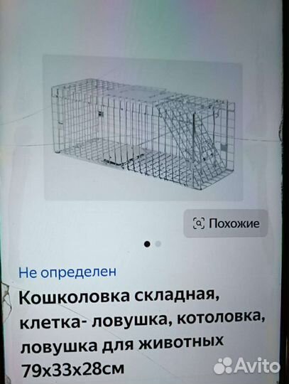 Аренда собаколовки, кошколовки