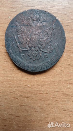 Пятак Екатерина