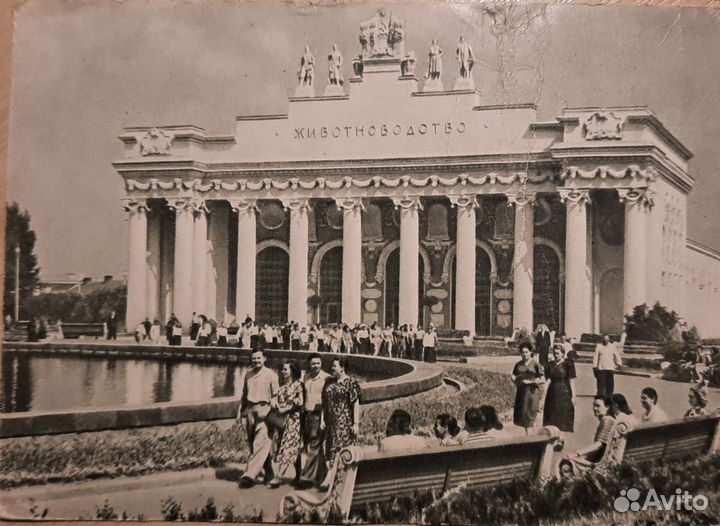 Открытки 50 60 годов СССР