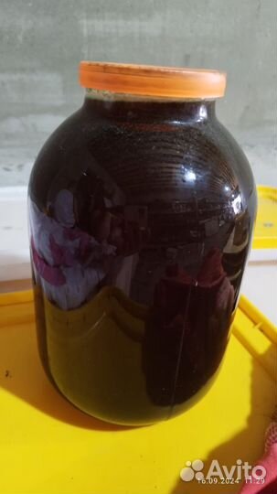 Мед Гречишный