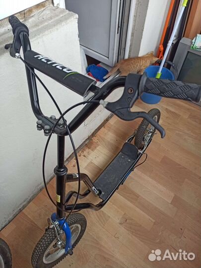 Самокат взрослый / детский