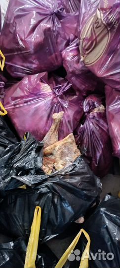 Куриные и индюшиные,отход для собак