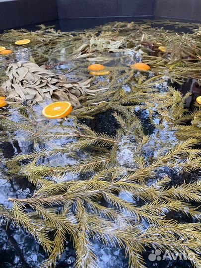 Аренда русской бани на дровах с чаном