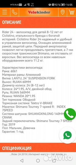 Ciclistino rider 24 2019 mint