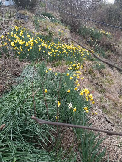 Дача 64 м² на участке 6,3 сот.