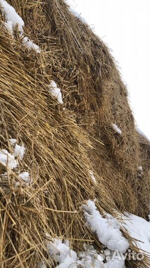 Солома в рулонах