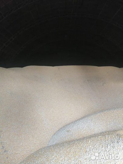 Пшеница,Ячмень,Кукуруза,Овес,Подсолнечник