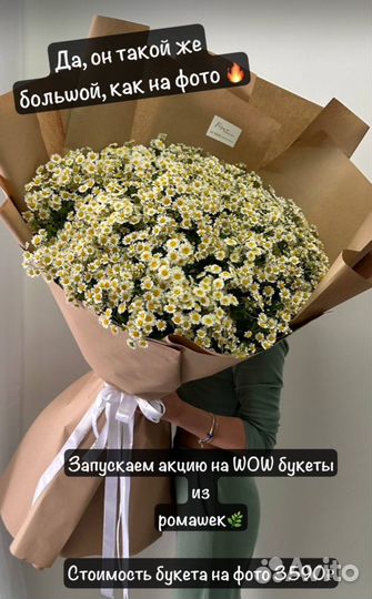 Букет гигант из полевых ромашек