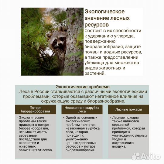 Создам презентацию