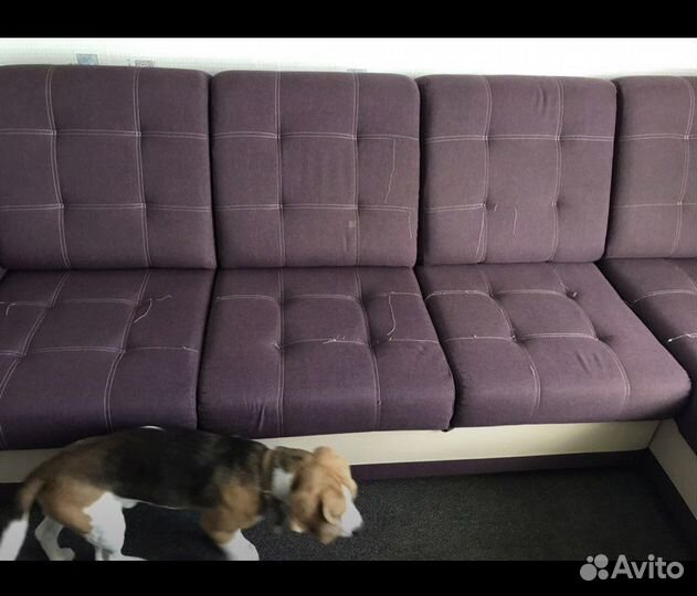 Аренда моющего пылесоса моющий пылесос karcher