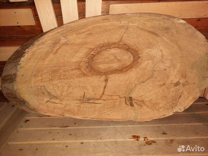 Поперечный спил дуба