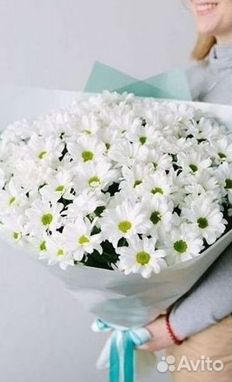 Хризантема Доставка цветов