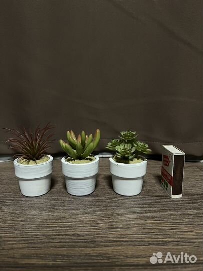 Искусственное растение Фейка IKEA суккуленты