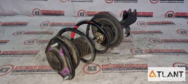 Стойка передняя левая toyota allex