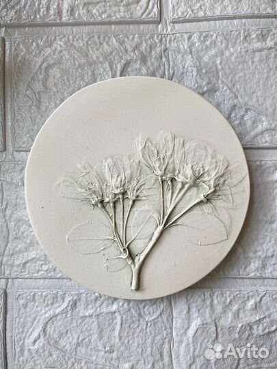 Ботанический барельеф