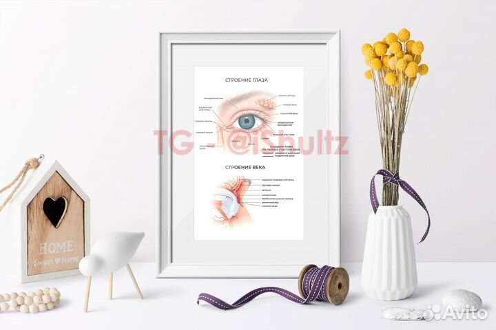 Плакаты для перманентного макияжа, косметологии