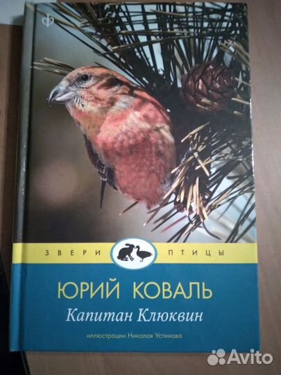 Юрий Коваль 