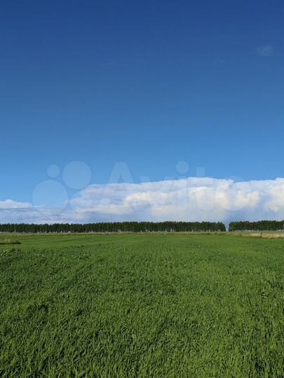 Дом 58,2 м² на участке 62 сот.