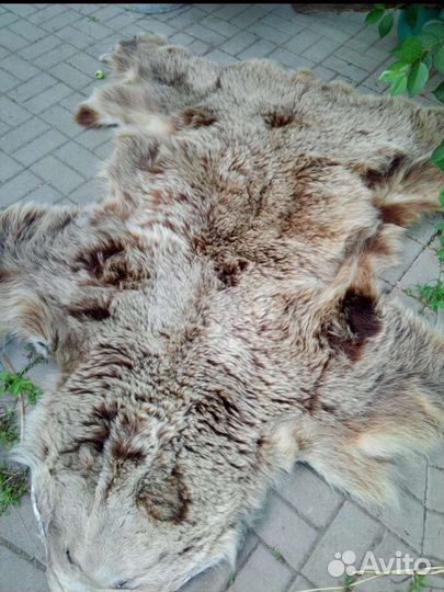 Шкура медведя имитация