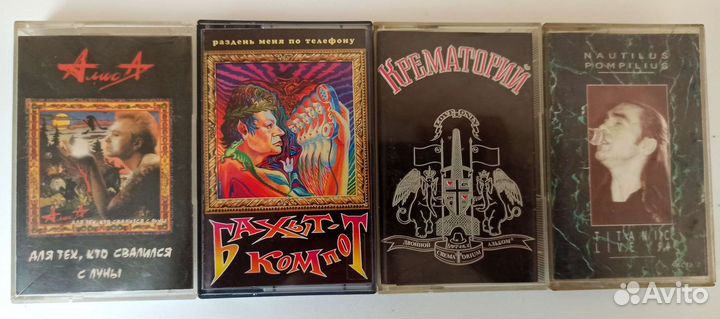 Алиса,Бахыт К, Янка,Сектор,Нау,Зоопарк