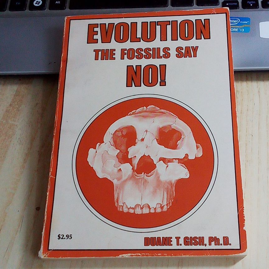 evolution - Авито | Объявления во всех регионах: купить вещь