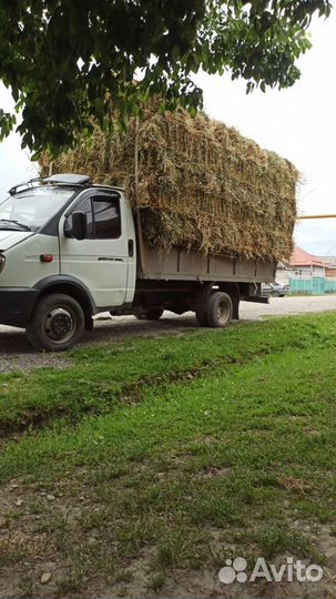 С доставкой