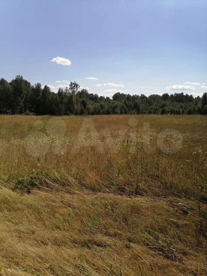 Участок 20 сот. (ИЖС)