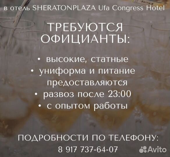 Официант на банкет