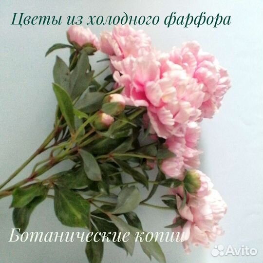 Пионы. Цветы из полимерной глины холодный фарфор