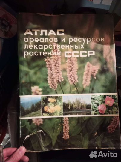 Атлас ареалов ресурсов лекарственных растений СССР