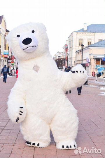 Белый мишка и его команда на ваш праздник