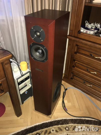 Напольная акустика Coincident