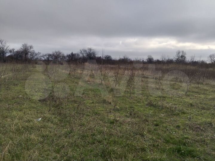 Участок 50 сот. (ИЖС)