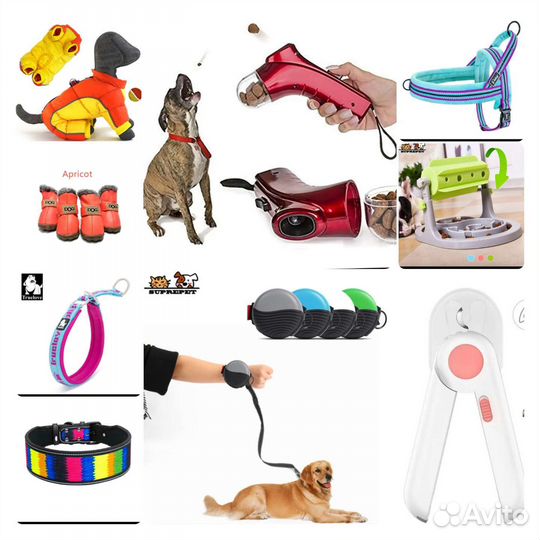 Ошейник, шлейка, игрушки, поводок для собак