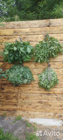 Банные веники