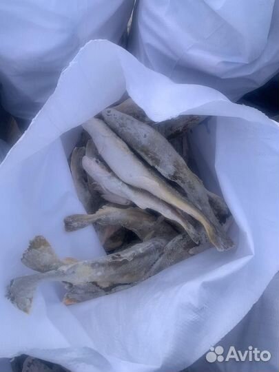 Рыба морская и речная от мешка