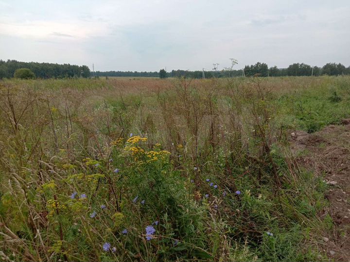 Участок 13,5 сот. (ИЖС)