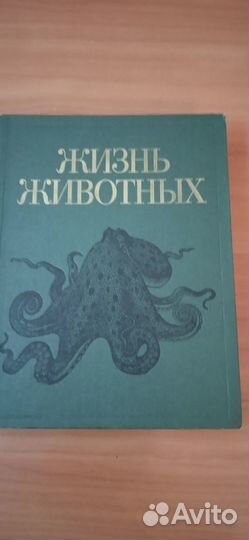 Книга жизнь животных том второй моллюски