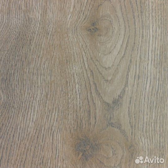 Ламинат Alsafloor Solid Plus 536 Дуб Льняной