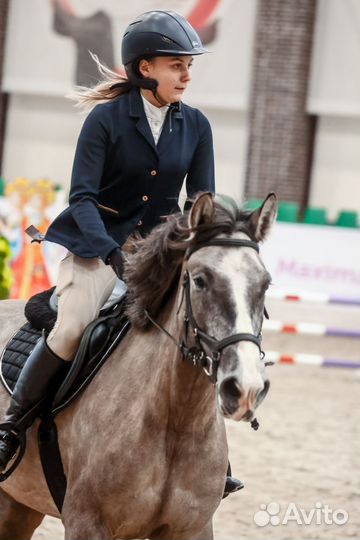 Продается кобыла