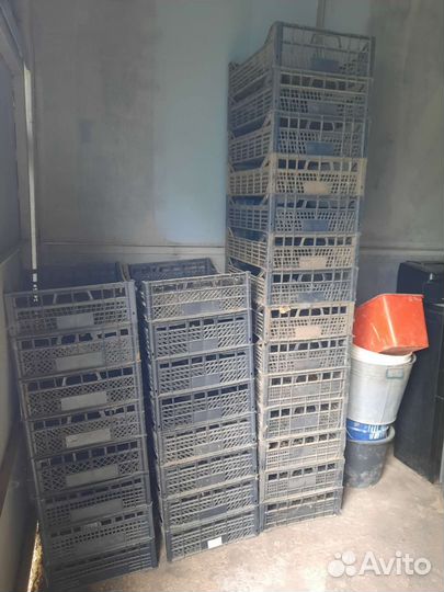 Пластиковые ящики для хранения овощей и фруктов