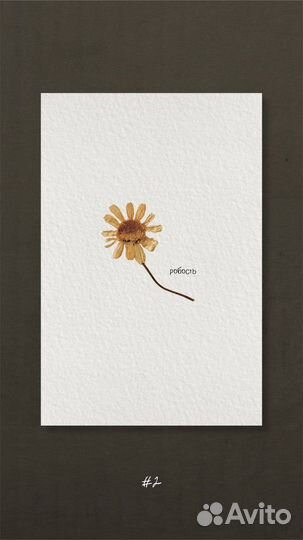 Авторские открытки с сухоцветами