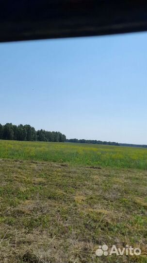 Сено в рулонах