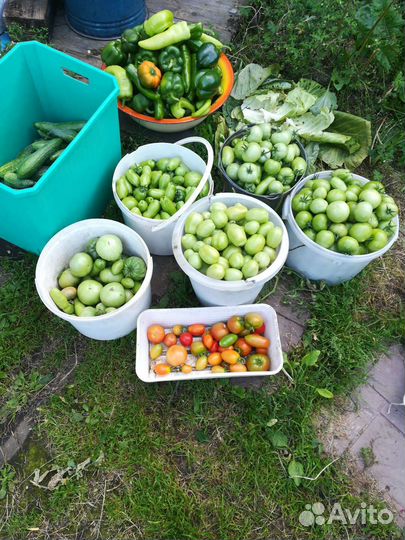 Домашнии заготовки