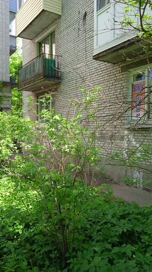 2-к. квартира, 42 м², 1/5 эт.